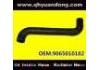 Radiator Hose:9065010182