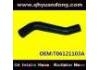 Radiator Hose:T06121103A