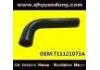 Radiator Hose:T11121073A