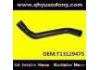 Radiator Hose:T13129475