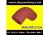 SILICONE HOSE SILICONE HOSE:2RP117231