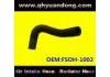 Radiator Hose:FSOH-1002