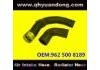 Radiator Hose:962 500 8189